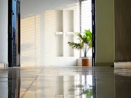 Hay una planta en maceta en el medio de la habitación.